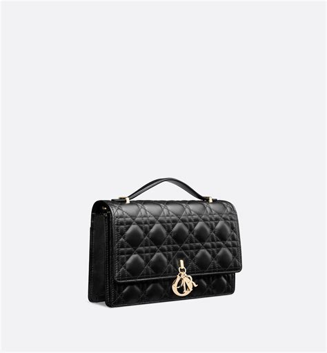 dior handle bag